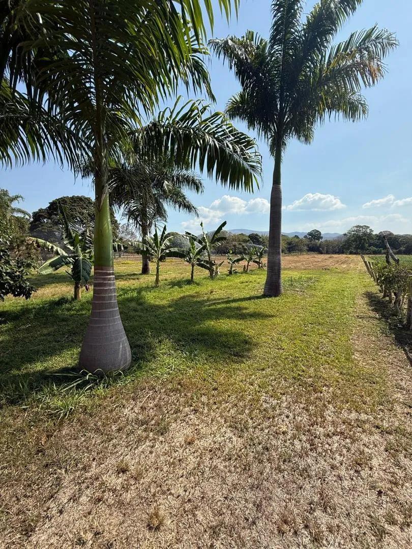 Terreno con caballeriza, ubicado en Bejuma estado Carabobo